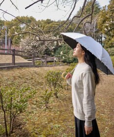 AURORA 【WEB限定】パール晴雨兼用傘（1段スライドショート）