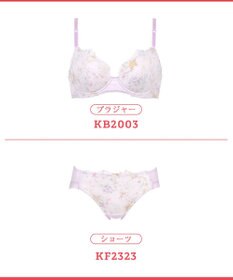 Wing 【マッチミーブラ】　ブラがわたしに合わせてくれる　バストの左右差や個々のバストの状態に対応　ウイング／ワコール　KB2003