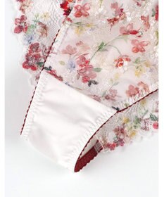 Wing Tバックショーツ Wing Lesiage PB2120とペア 【2120シリーズ】 はきこみ丈あさめ PF2122 ウイング／ワコール