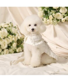 PET PARADISE cherircouture フリフリ トレンチコート 小型犬