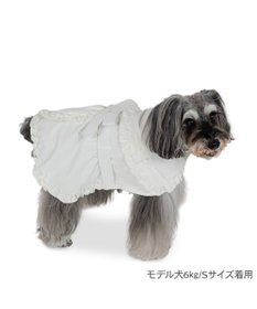 PET PARADISE cherircouture フリフリ トレンチコート 小型犬