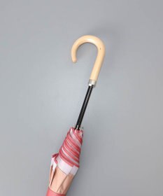 AURORA BLAO（ブラオ）オーガンジー切継ぎ晴雨兼用傘（1段スライドショート傘）