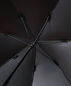 AURORA BLAO（ブラオ）オーガンジー切継ぎ晴雨兼用傘（1段スライドショート傘）