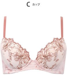 WACOAL ブラジャー 着やせシルエット 脇から背中のラインすっきり Gカップまで対応 大きいサイズ レディース BXC405 /ワコール