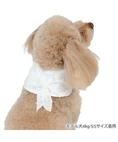 PET PARADISE ペットパラダイス クールバンダナ 《花柄》 小型犬