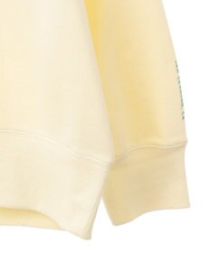 AMERICAN HOLIC カレッジロゴ裏毛プルオーバー