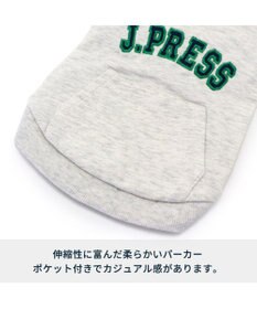 PET PARADISE 犬の服 犬 冬服 パーカー J.PRESS 【小型犬】 カレッジ ロゴ