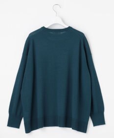 J.PRESS LADIES 【洗える】DRALON MERINO ニット