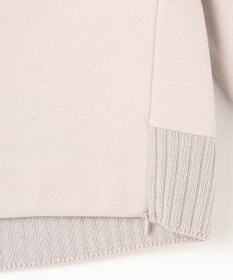 J.PRESS LADIES S ニードルパンチ ハイネック カットソー