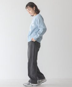 AMERICAN HOLIC ＭＩＣＨＩＧＡＮ　ラグランスウェット