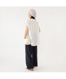 林八百吉商店 e-zoo  イルカベレー