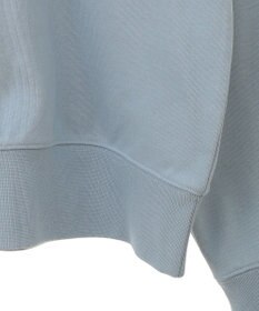 AMERICAN HOLIC ＭＩＣＨＩＧＡＮ　ラグランスウェット