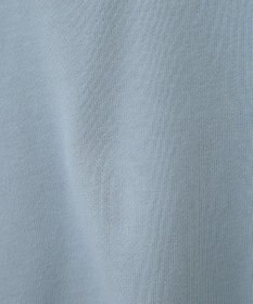 AMERICAN HOLIC ＭＩＣＨＩＧＡＮ　ラグランスウェット