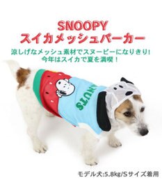PET PARADISE 犬の服 春夏 スヌーピー スイカ メッシュ パーカー 【小型犬】
