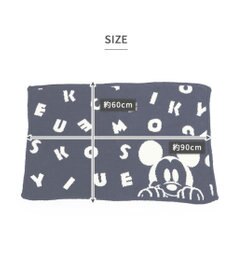 PET PARADISE ディズニー ミッキーマウス 遠赤外線 ブランケット 《ロゴ柄》 90×60cm