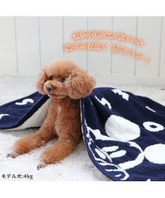 PET PARADISE ディズニー ミッキーマウス 遠赤外線 ブランケット 《ロゴ柄》 90×60cm