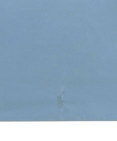 MOONBAT 【大きめ】POLO RALPH LAUREN 晴雨兼用日傘 折りたたみ傘 PP／遮光 遮熱 UV