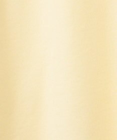 AMERICAN HOLIC カレッジロゴ裏毛プルオーバー