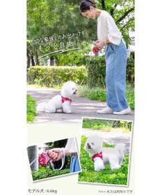 PET PARADISE リサとガスパール 伸縮リード 《パリ柄》