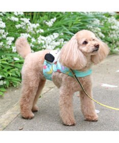 PET PARADISE スヌーピー クールベスト 《果物柄》 小型犬