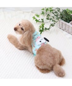 PET PARADISE スヌーピー クールベスト 《果物柄》 小型犬