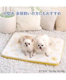 PET PARADISE ディズニー プルート もちっと クールマット
