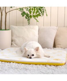 PET PARADISE ディズニー プルート もちっと クールマット