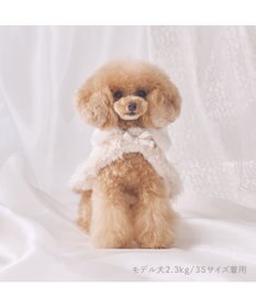 PET PARADISE cherircouture キラキラポンチョ 小型犬