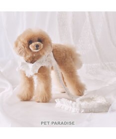PET PARADISE cherircouture フリフリ リード 《ホワイト》４Ｓ～３Ｓ  小型犬
