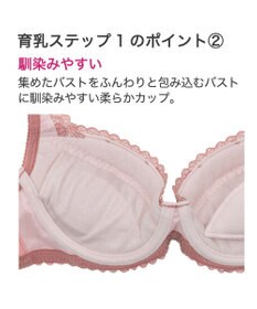 BRADELIS New York 【BRADELIS New York】ジャスミンステップ1ブラ23A2 幅広ワイヤーでしっかりお肉を集めて谷間を作る補整ブラ