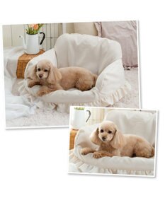 PET PARADISE ペットパラダイス カバー付き ソファー ベッド
