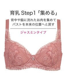 BRADELIS New York 【BRADELIS New York】ジャスミンステップ1ブラ23A2 幅広ワイヤーでしっかりお肉を集めて谷間を作る補整ブラ