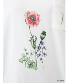 Green Parks ピーター・パン／ポケットＴｅｅ