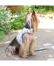 PET PARADISE ディズニー 101匹わんちゃん 保冷剤ポケット付き ハーネス ３Ｓ 小型犬