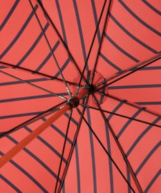 MOONBAT POLO RALPH LAUREN 長傘 ボーダーストライプ POLO BEAR