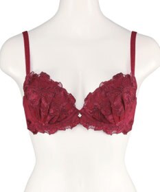 San-ai Resort（三愛水着楽園） エレガントコレクション【2411】単品ブラBCDカップ 【northerly】