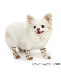 PET PARADISE ペットパラダイス makokoro スリット 靴下  《ボーダー》  ＳＳ 小型犬