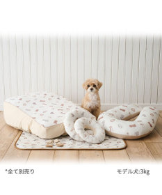 PET PARADISE ペットパラダイス makokoro スリット 靴下  《ボーダー》  ＳＳ 小型犬