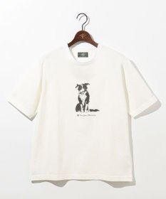 JOSEPH ABBOUD MOUNTAIN 【日本製・アーティストコラボレーション】プレーティング天竺Tシャツ