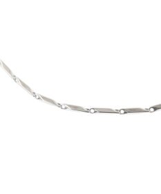 Green Parks ｅｖｅｒｙｗａｌｋ．ステンレスミラーカットネックレス