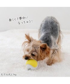 PET PARADISE ペットパラダイス テニスボール トイ ３個セット