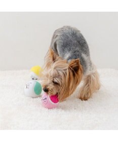 PET PARADISE ペットパラダイス テニスボール トイ ３個セット