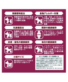 PET PARADISE ペットパラダイス 国産 ドッグフード フローラ 1kg