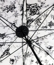 +RING レディース向け プラスリング 雨傘（長）60cm FLW T1258 2重張り傘