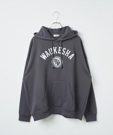 WEGO ヘビーウエイトサガラカレッジプルパーカー