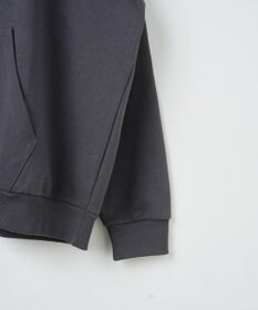 WEGO ヘビーウエイトサガラカレッジプルパーカー