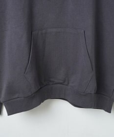 WEGO ヘビーウエイトサガラカレッジプルパーカー