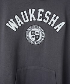 WEGO ヘビーウエイトサガラカレッジプルパーカー