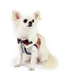 PET PARADISE ディズニー ミッキーマウス ベストハーネス 《杢柄》 ４Ｓ 小型犬