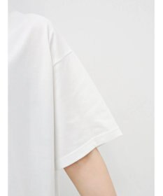 Green Parks Ｔｏｙ　ｓｔｏｒｙ／覗き込みＴｅｅ